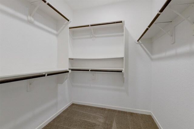 12407 Palo Acebo Ln, Humble, TX 77346 - walk in closet with dark colored carpet