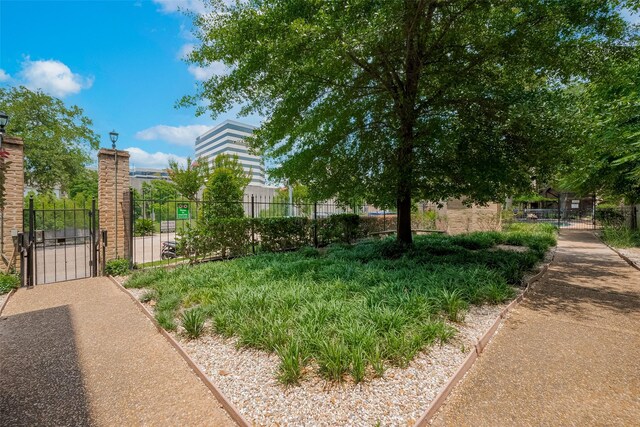 4515 Briar Hollow Pl Unit 307, Houston, TX 77027 - view of yard featuring a gate