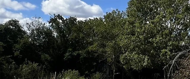 2233 N La Salle St, Navasota, TX 77868