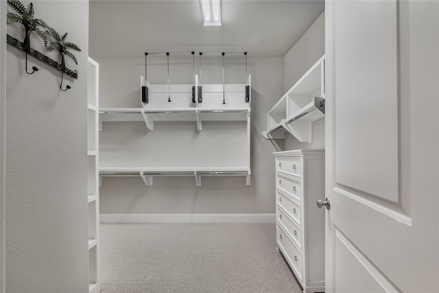 8670 Green Kolbe Ln, Houston, TX 77080 - walk in closet featuring carpet floors