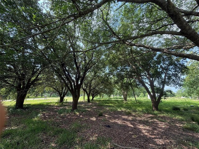 4422 County Road 888, Rosharon, TX 77583 - photo 8