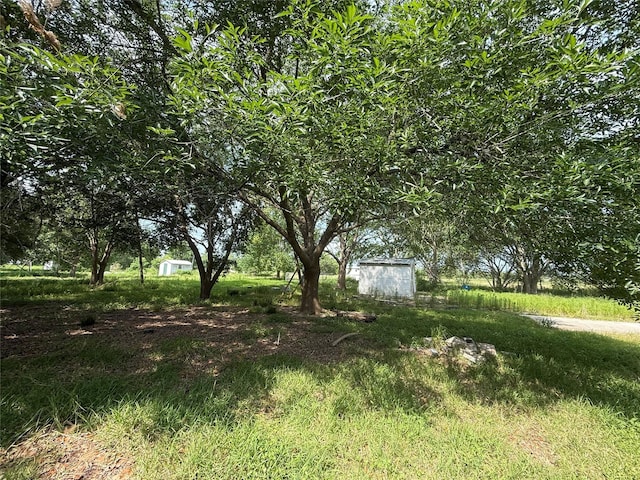 4422 County Road 888, Rosharon, TX 77583 - photo 9