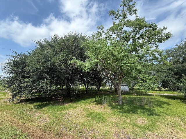 4422 County Road 888, Rosharon, TX 77583 - photo 10
