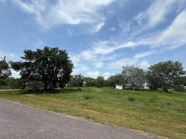 4422 County Road 888, Rosharon, TX 77583 - photo 4