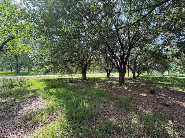 4422 County Road 888, Rosharon, TX 77583 - photo 6