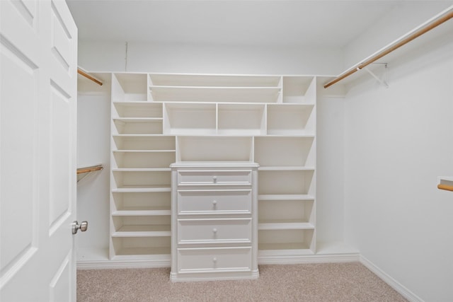 20103 Faye St, Tomball, TX 77377 - spacious closet with carpet flooring