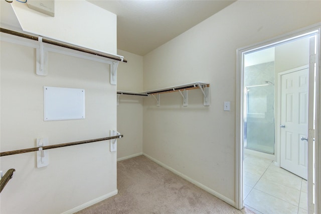 2831 Lake Villa Dr, Missouri City, TX 77459 - spacious closet with light carpet