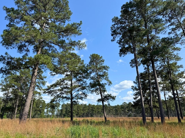 0 Fm 1791, Richards, TX 77873
