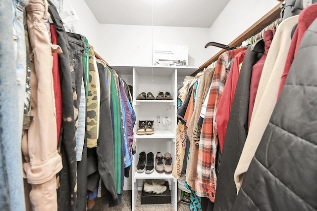 4155 Amir St, Houston, TX 77072 - walk in closet with carpet floors