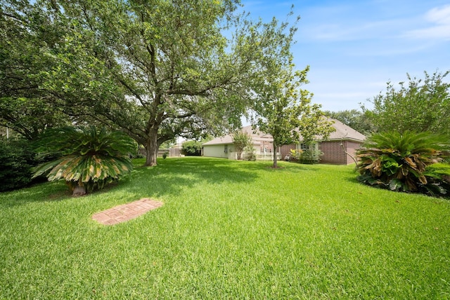 4910 Glen Hollow St, Sugar Land, TX 77479 - view of green lawn