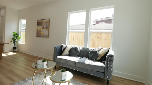 7805 Avenue Ave E, Houston, TX 77012 - living room featuring wood finished floors and baseboards