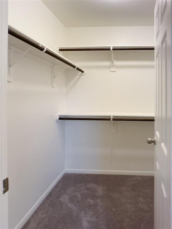 27315 Blue Pool Dr, Katy, TX 77493 - walk in closet with carpet