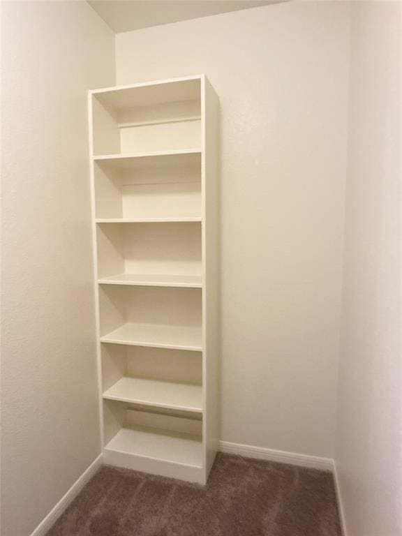 27315 Blue Pool Dr, Katy, TX 77493 - view of closet