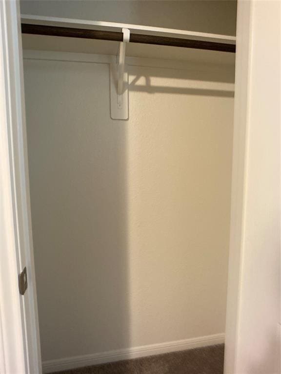 27315 Blue Pool Dr, Katy, TX 77493 - view of closet