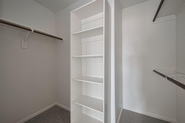 27315 Blue Pool Dr, Katy, TX 77493 - walk in closet with carpet flooring