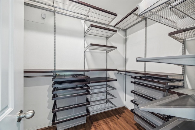 5332 Pointe Spring Xing, Spring, TX 77389 - walk in closet featuring dark wood-style floors