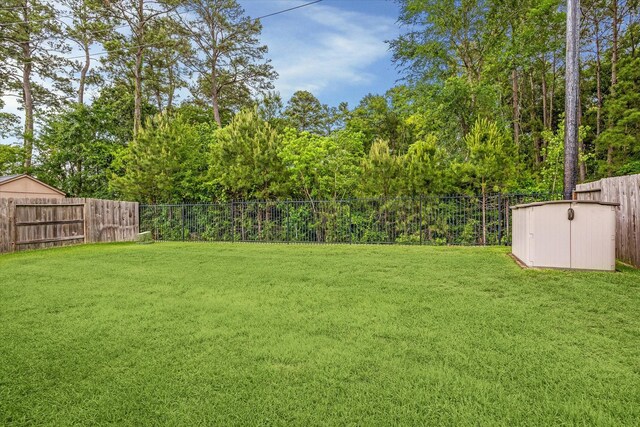5332 Pointe Spring Xing, Spring, TX 77389 - view of yard