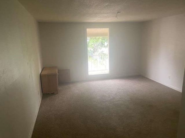 3015 Ohio St, Fresno, TX 77545 - empty room with carpet and a textured ceiling