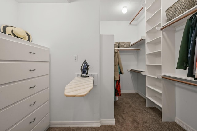 19634 Stone Lake Dr, Tomball, TX 77377 - spacious closet with carpet floors