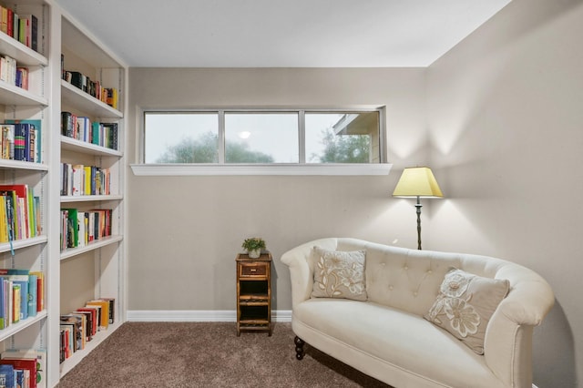 19634 Stone Lake Dr, Tomball, TX 77377 - sitting room with carpet floors and baseboards