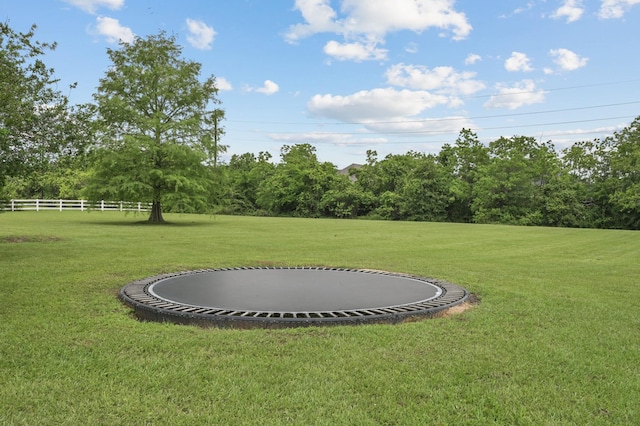 19634 Stone Lake Dr, Tomball, TX 77377 - view of yard