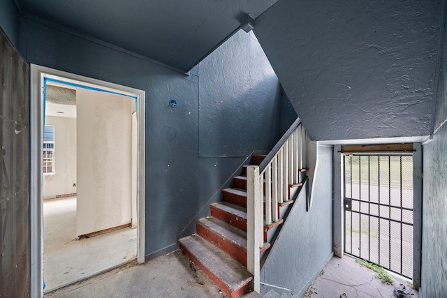 2401 Sampson St Unit 1-8, Houston, TX 77004 - photo 34