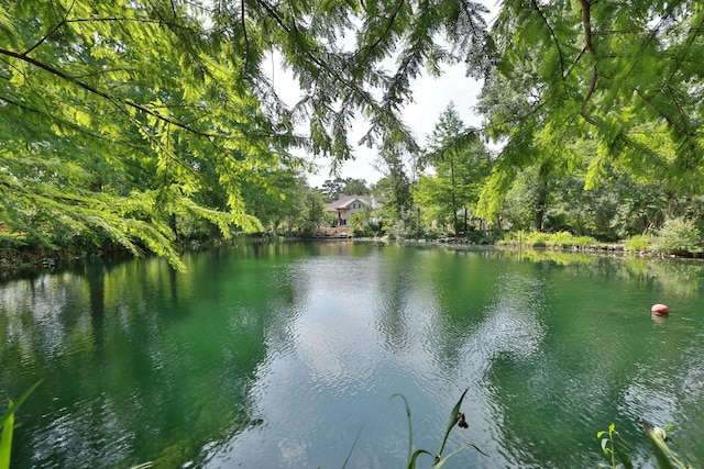 9502 Clubhouse Cir, Magnolia, TX 77354 - water view