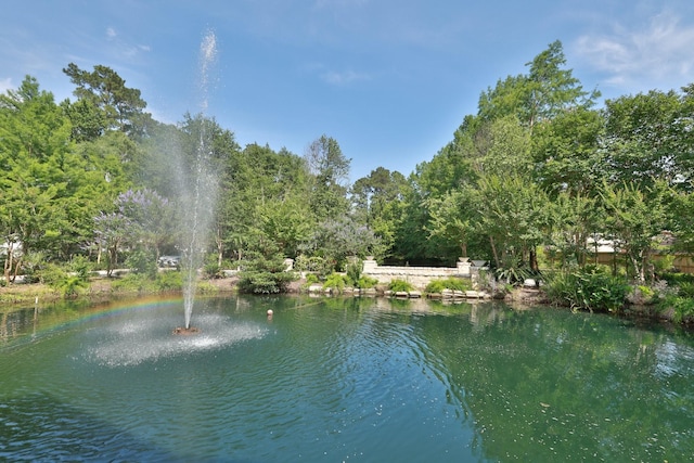 9502 Clubhouse Cir, Magnolia, TX 77354 - water view