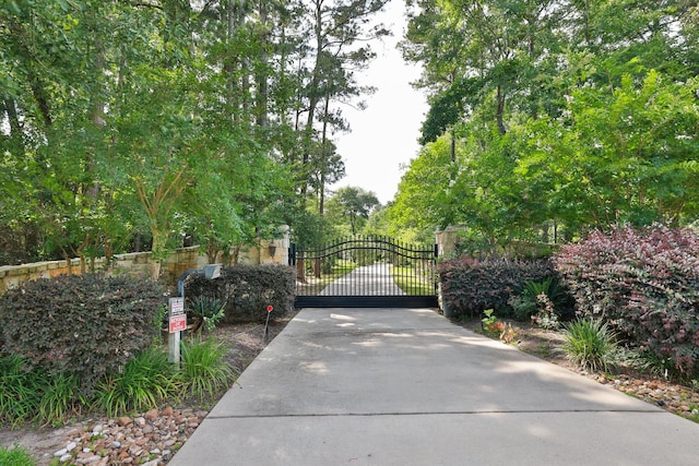 9502 Clubhouse Cir, Magnolia, TX 77354 - view of gate