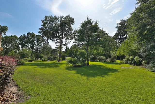 9502 Clubhouse Cir, Magnolia, TX 77354 - view of grassy yard