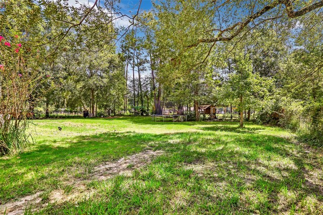 11260 Hodge Rd, Beaumont, TX 77713 - view of green lawn with a trampoline