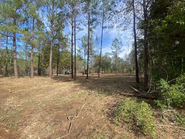 0 Feldschau, Buna, TX 77612