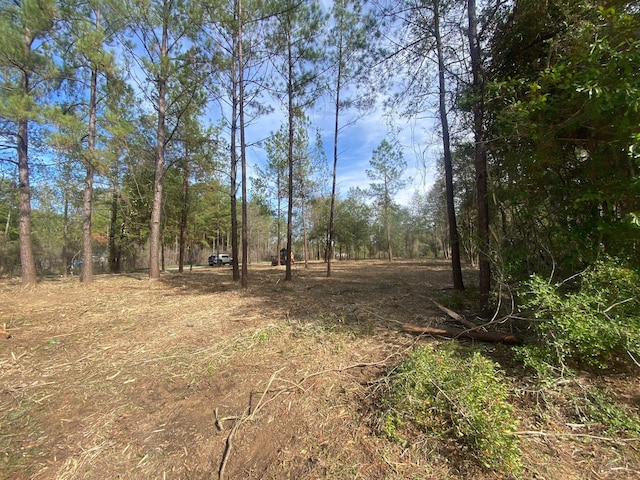 0 Feldschau, Buna, TX 77612