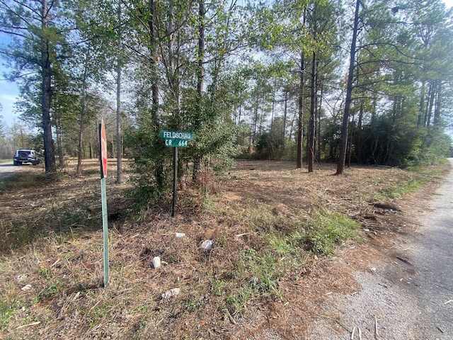 0 Feldschau, Buna, TX 77612
