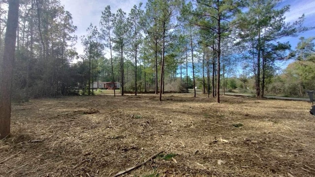 0 Feldschau, Buna, TX 77612
