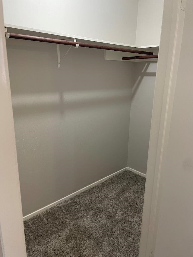 8315 Marble Arch Ct, Humble, TX 77338 - walk in closet featuring carpet