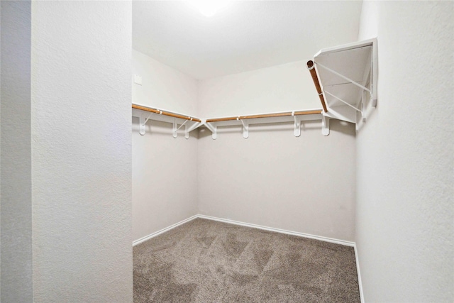 19826 Creston Cove Ct, Cypress, TX 77433 - walk in closet featuring carpet floors