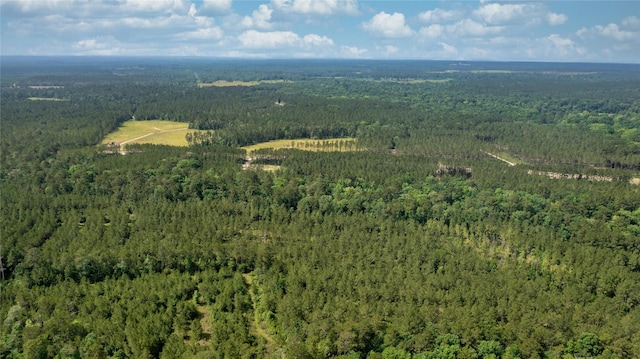 TRACT1 Fm 942, Livingston, TX 77351