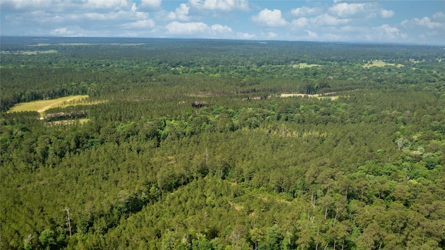 TRACT1 Fm 942, Livingston, TX 77351