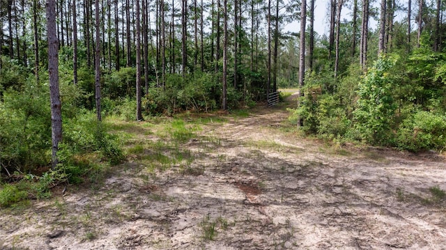 TRACT1 Fm 942, Livingston, TX 77351