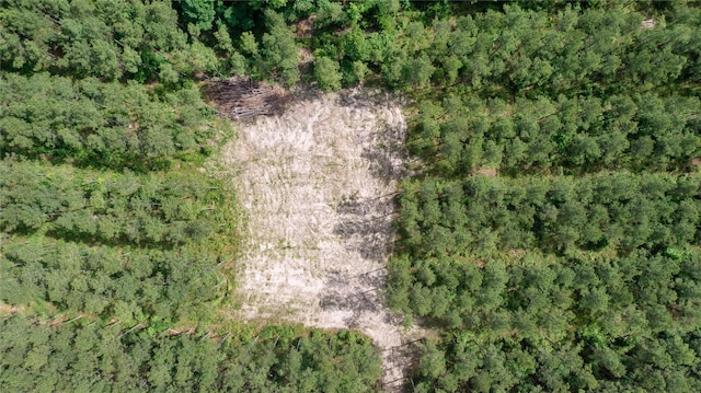 TRACT1 Fm 942, Livingston, TX 77351
