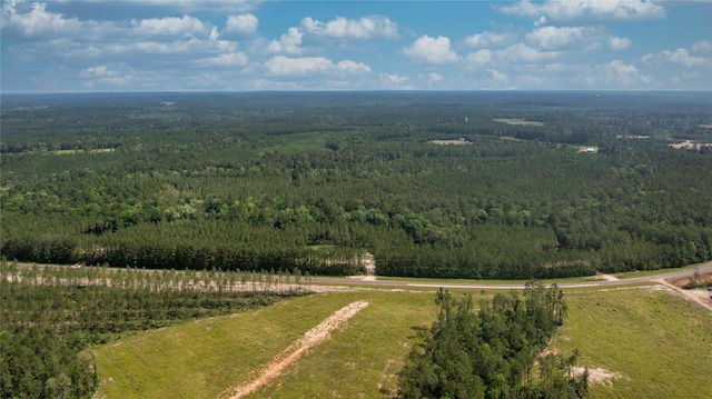 TRACT1 Fm 942, Livingston, TX 77351