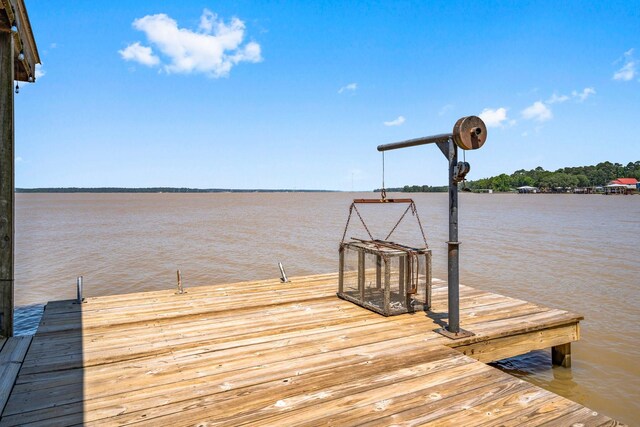 269 Bass Blvd, Trinity, TX 75862 - photo 37