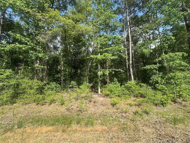 23809 Fm 2262-, Apple Springs, TX 75926 - photo 1