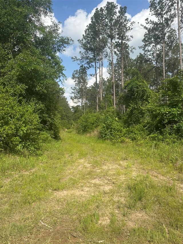 23809 Fm 2262-, Apple Springs, TX 75926 - photo 2