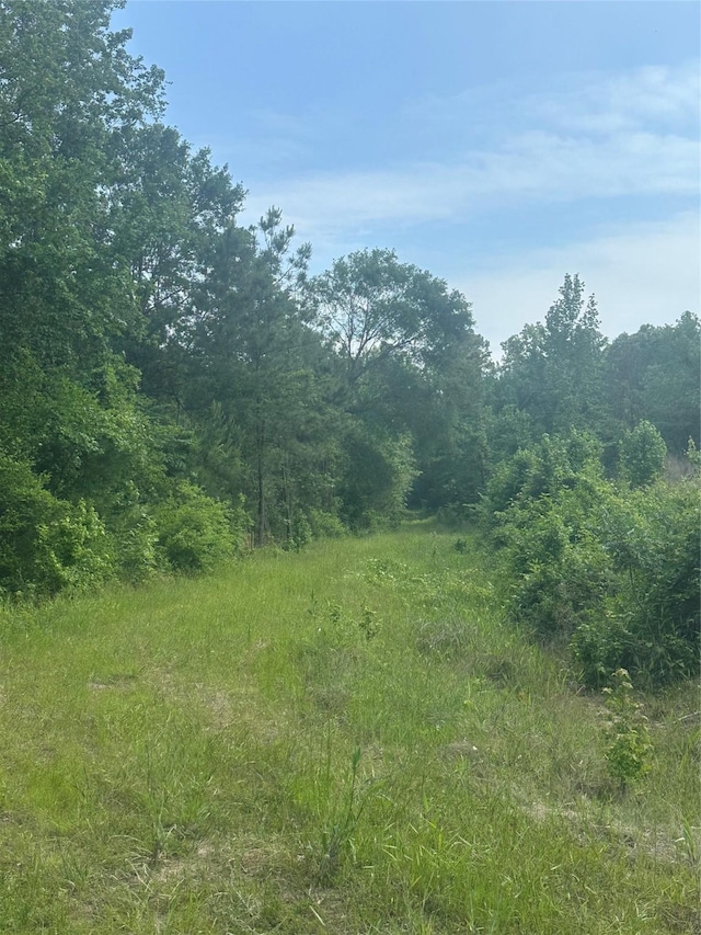 23809 Fm 2262-, Apple Springs, TX 75926 - photo 4