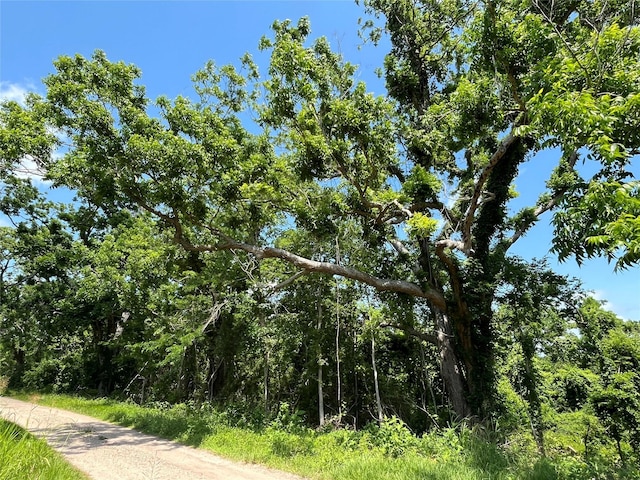 0 Oyster Creek Dr, Bailey's Prairie, TX 77515