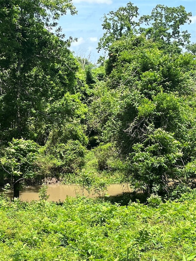 0 Oyster Creek Dr, Bailey's Prairie, TX 77515