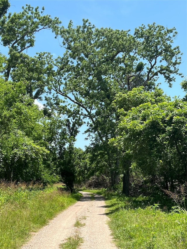 0 Oyster Creek Dr, Bailey's Prairie, TX 77515