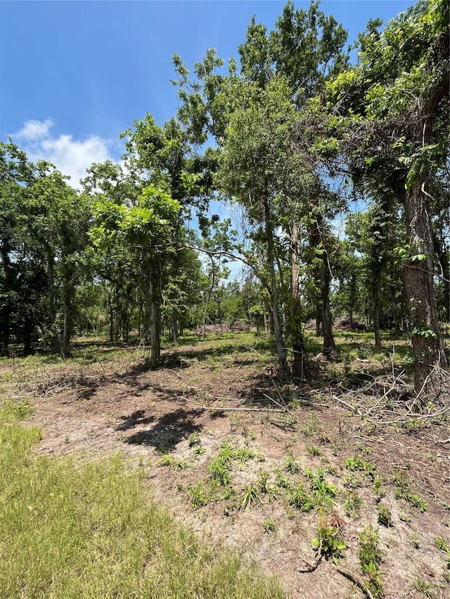 0 Oyster Creek Dr, Bailey's Prairie, TX 77515